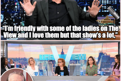 Bill Maher Throws Shade at The View: “Not Exactly the Best Advertisement for Women Right Now”