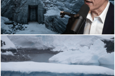 Why Are Billionaires Secretly Flying to Antarctica? The Chilling Truth Beneath the Ice Will Leave You Speechless
