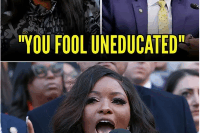 When Sparks Fly in Washington: Tim Scott’s Verbal Offensive Against Jasmine Crockett Backfires in Stunning Capitol Hill Clash