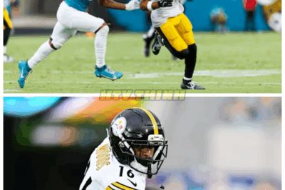 Report: Steelers release veteran WR Robert Woods