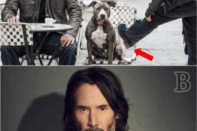 😡🐾 Cruel Biker Attacks a Dog in Public — Then Keanu Reeves Shows Up and Teaches Him a Lesson He’ll Never Forget 🥊🔥