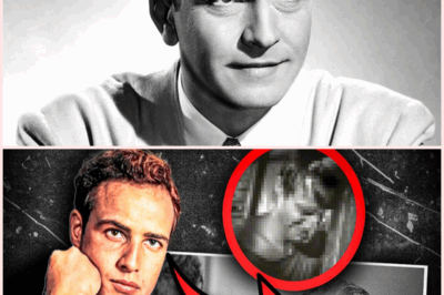 Old Hollywood Legends Who Stood Against Racism: A Bold Legacy of Courage