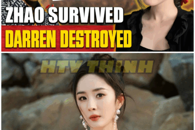 Zhao Lusi vs. Darren Wang – Two Scandals That Shook Asian Entertainment – HTT