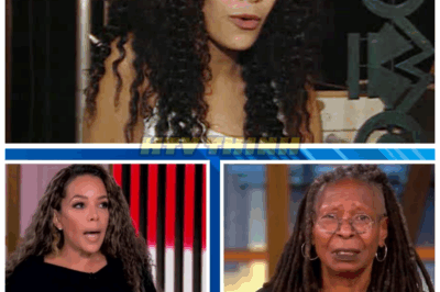 🚨 NEW Bombshell ROCKS The View as Host Left SPEECHLESS! 😱 “Nobody saw this coming—it’s the scandal of the century,” insiders scream as a shocking secret explodes live on air, causing chaos, stunned silence, and a media frenzy that threatens to bring the entire show crashing down—viewers are left in shock, questioning everything they thought they knew! 📺🔥👇 ,
