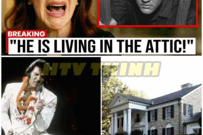 Elvis Presley’s Attic Unlocked After 48 Years – And What They Found Inside Will Shatter Your Rock ‘n’ Roll Dreams: “Turns Out The King Was Hiding More Than Just Hits”Elvis Presley’s Attic Unlocked After 48 Years – And What They Found Inside Will Shatter Your Rock ‘n’ Roll Dreams: “Turns Out The King Was Hiding More Than Just Hits” – HTT