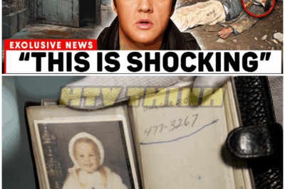 Elvis Presley’s Forbidden Attic Unlocked After 48 Years – Because Even the King Needed a Secret Nobody Was Meant to See – HTT
