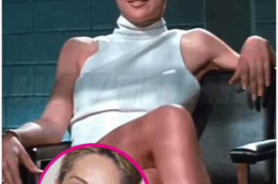 💋 – Sharon Stone on Her Infamous Basic Instinct Leg-Crossing Scene: ‘It Made Me an Icon, but It Didn’t Bring Me Respect’