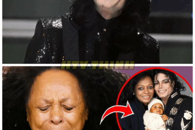 🔥💔 THE MOST EXPLOSIVE REVELATION YET! DIANA ROSS AT 81 FINALLY OPENS UP ABOUT MICHAEL JACKSON AND THE SECRET THAT CAN CHANGE EVERYTHING 🎭 “Sometimes, the truth is the most powerful song” 🌟 After years of silence, Diana Ross’s emotional confession about Michael Jackson has rocked Hollywood and beyond—what was buried deep beneath the surface is now out in the open. Was it betrayal, admiration, or a hidden pain? Fans and critics are stunned, and the implications are enormous. Is this the final chapter or just the beginning of a new saga? The twists keep coming, and the emotional stakes are higher than ever. 👇