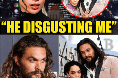 🕯️ The Secret That Ended the Fairy Tale: Zoë Kravitz Confirms the Reason Behind Her Mother and Jason Momoa’s Divorce 💔