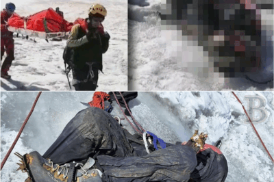 ⚠️ 22 Years Later, the Mountain Finally Spoke: What Was Found Inside the Ice Will Haunt You Forever 🏔️👻
