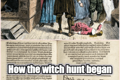 How a Fear of Witches Sparked One of the Darkest Purges in European History