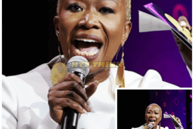 Joy Reid argued that White people cannot create culture independently, and they have historically relied on appropriating achievements from Black and Brown communities across America.
