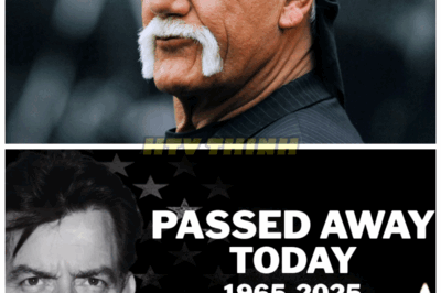 “Shocking Tragedy! 3 American Stars Who Died Today and Left Fans Devastated — ‘Their Final Moments Were Heartbreaking!’ 😱🇺🇸💔 Today, the nation mourns as three beloved American stars have tragically passed away, leaving millions in shock and disbelief. Eyewitnesses say their last moments were filled with pain and secrets that could rock the entertainment world forever. Was it an accident or something darker lurking behind the scenes? The truth will blow your mind! 👇
