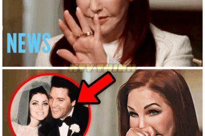 Priscilla Presley at 80: The Shocking Reason She Never Walked Down the Aisle Again After Elvis!💔 The iconic beauty of Graceland reveals a secret so devastating it explains decades of solitude and silence. Was it a curse, a betrayal by those closest to her, or an unspoken trauma that no one dared to mention? This emotional bombshell exposes the psychological scars and shocking twists that have haunted her life since Elvis’s death. The Presley saga just got darker and more heart-wrenching!👇