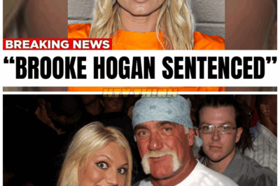 Hulk Hogan’s Daughter Sentenced, Goodbye Forever