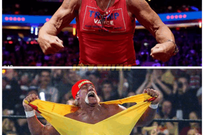 Hulk Hogan police respond to wild conspiracy theories over WWE icon’s tragic death