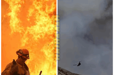 Canyon Fire: A Growing Threat in Southern California