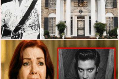 The Shocking Secrets of Elvis Presley’s Attic: What Was Uncovered After 48 Years?