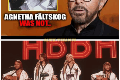 At 79, ABBA’s Bjorn Ulvaeus FINALLY ADMITS What We All Suspected