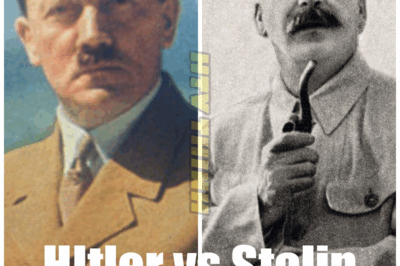 The Fear And Hatred That Lost Hitler The War | Hitler vs Stalin