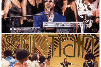 The Infamous Scene That Took “Soul Train” off Air For Good