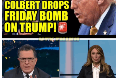 Stephen Colbert Just Got The FINAL LAUGH On Trump