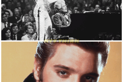 🎤 Elvis Brought a MYSTERY GUEST on Stage — The Reveal SHOCKED 25,000 Fans!