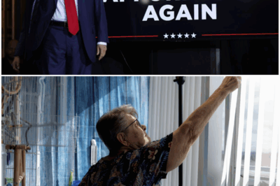 Trump Administration’s Shocking Move: $1 Billion Affordable Housing Program Faces Extinction!