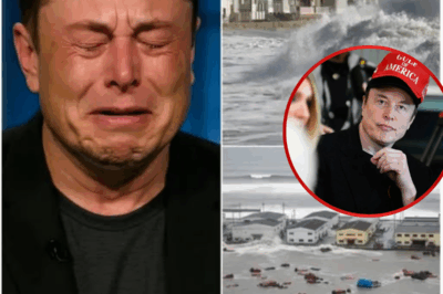 Elon Musk Breaks Down on Live TV: A Heart-Wrenching Plea Amid Hawaii’s Tragic Tsunami