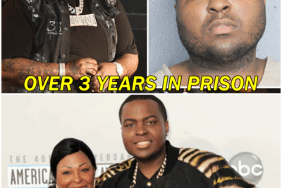 Sean Kingston’s Fall from Grace: A $1M Scam, 3.5 Years Lost, and The Ironic Cost of Celebrity Dreams