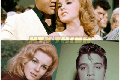 🐿️ Elvis Presley’s Last Request To Ann-Margret Before Death 💔🎤 — The King’s FINAL Plea To His Secret Love Reveals A Hidden Bond, A Heartbreaking Goodbye, And The Untold Truth About Their Romance That Fans Never Knew 🤯🔥