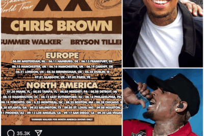 Chris Brown’s 20-Year Musical Odyssey: A Tour of Triumphs, Trials, and Unforgettable Hits!