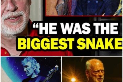 David Gilmour Breaks His Silence at 79: The Real Story Behind Roger Waters and Pink Floyd’s Collapse