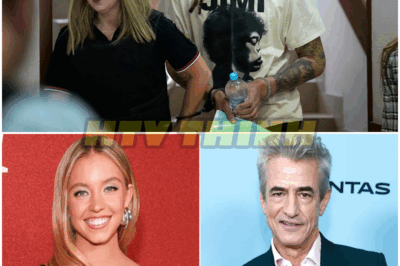 🐿️ BOMBSHELL CONFESSION 💣 Brittney Griner IGNITES Outrage With Brutal Swipe At Sydney Sweeney: “As A Woman, I Feel Deeply Insulted” – Star’s Jaw-Dropping Takedown Sparks Feminist Uproar, Hollywood Backlash, And A PR Wildfire That Shows No Signs Of Burning Out 🔥