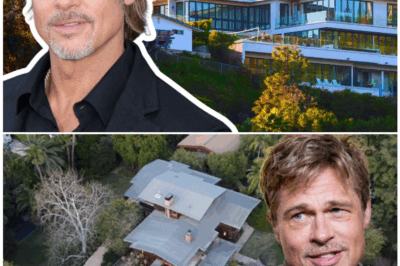 😲❤️ “BRAD PITT’S SECRET TENANT: A 105-Year-Old Man Lived for FREE on His $40M Estate — and You Won’t Believe Why!”