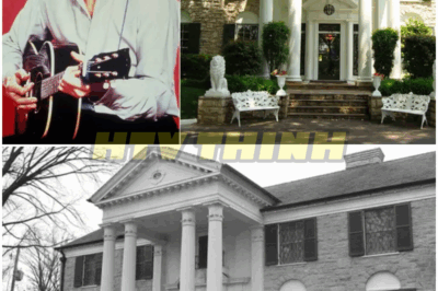 🐿️ GRACELAND SECRETS EXPOSED 🚨 Here’s What The FBI Really Found Inside Elvis Presley’s Mansion – Hidden Files, Dark Truths, And Disturbing Discoveries That Could Shatter The King’s Carefully Guarded Legacy Forever 🎤