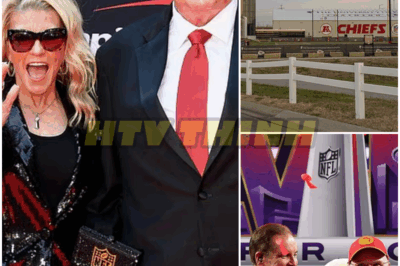 🐿️ EXCLUSIVE! Shocking Report Reveals Chiefs Coach Andy Reid’s Office Was SHOT AT 😱 Bullets Rattle Arrowhead as Big Red Sat Just 15 Feet Away—NFL World in Shock Over the Terrifying Close Call That Nearly Ended in Tragedy 🏈🔥