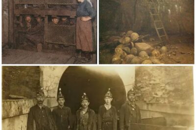 Miners Vanished in 1955 — 50 Years Later, Investigators Discover A Terrifying Secret…