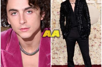 Timothée Chalamet: Hollywood’s Heartthrob Turning Every Role into a Cultural Phenomenon