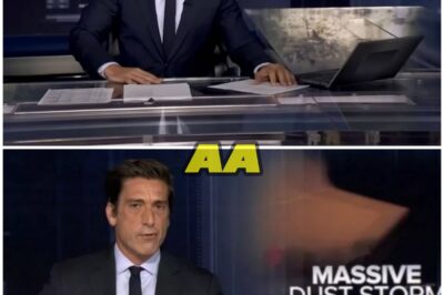 DAVID MUIR SECRETLY PAYS OFF MORTGAGE OF FLOOD VICTIM’S FAMILY — SIX WORDS THAT MADE HIM CRY ON LIVE TV