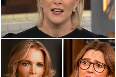 Megan Kelly DESTROYS Drew Barrymore On Live TV For Her HYPOCRISY On Bill Maher