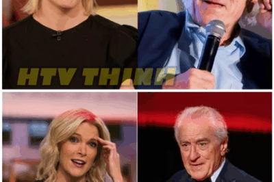 😱 “MEGYN CALLED HIM ‘STUPID’ — DE NIRO’S CHILL RESPONSE ENDED HER WHOLE ARGUMENT!”