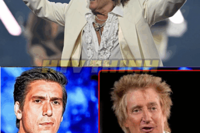 Rod Stewart Finally Confirms What Fans Have Always Suspected at 79