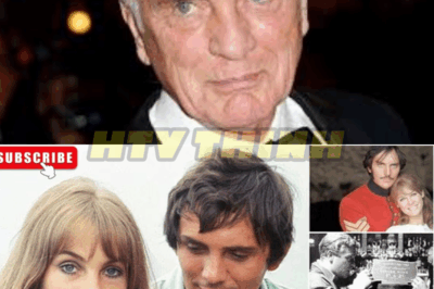 The Complex Life of Terence Stamp: From Stardom to Self-Discovery