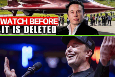 Is Elon Musk Breaking the Laws of Physics with His New $13 Billion Aircraft?