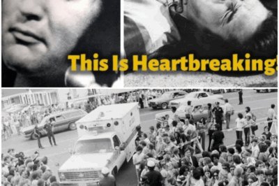 The Death Conspiracy: How Elvis Presley Became a Legend That Refuses to Die – A Tale of Fame, Mystery, and Eternal Devotion!