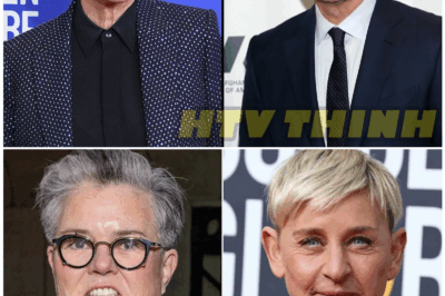 🦊 Stephen Colbert: “Now I Understand Why Rosie and Ellen Left” — Fired Host Says He’s Considering Leaving the U.  S.   Too ✈️👇