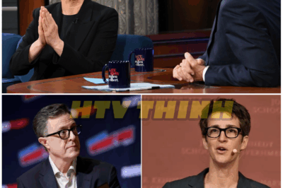 🚨 “Media Coup?! Maddow, Colbert, and Reid Launch ‘Unfiltered Empire’ – No Bosses, No Boundaries, Just CHAOS!”