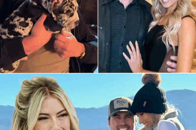From Divorce Papers to “Our Little Family”: Josh Hall and Stephanie Gabrys Go Public With Love, Dogs, and a Fresh Start