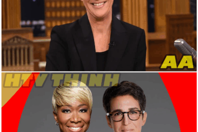 📰💥 Maddow, Colbert & Reid UNLEASH Independent Newsroom — The Death of Corporate Media or Just Another Fame Flex?! 😱📺
